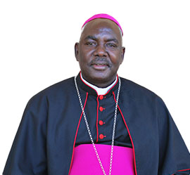 Rev. Fr. Dominic Eibu