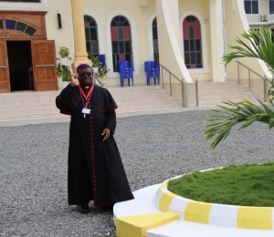 AMECEA Chairman Calls on Bishops to Review Resolutions of Previous Plenary Assembly